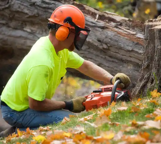 tree services La Vista